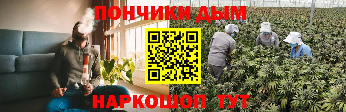 Канабис конопля Тара
